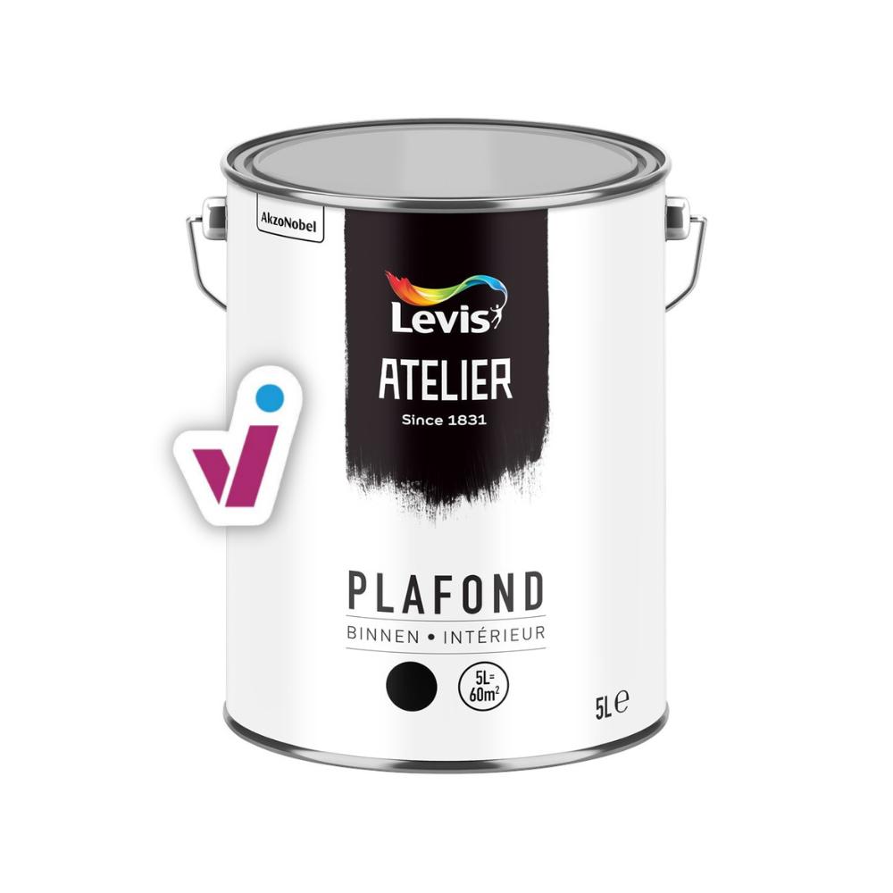 Levis Atelier Plafond