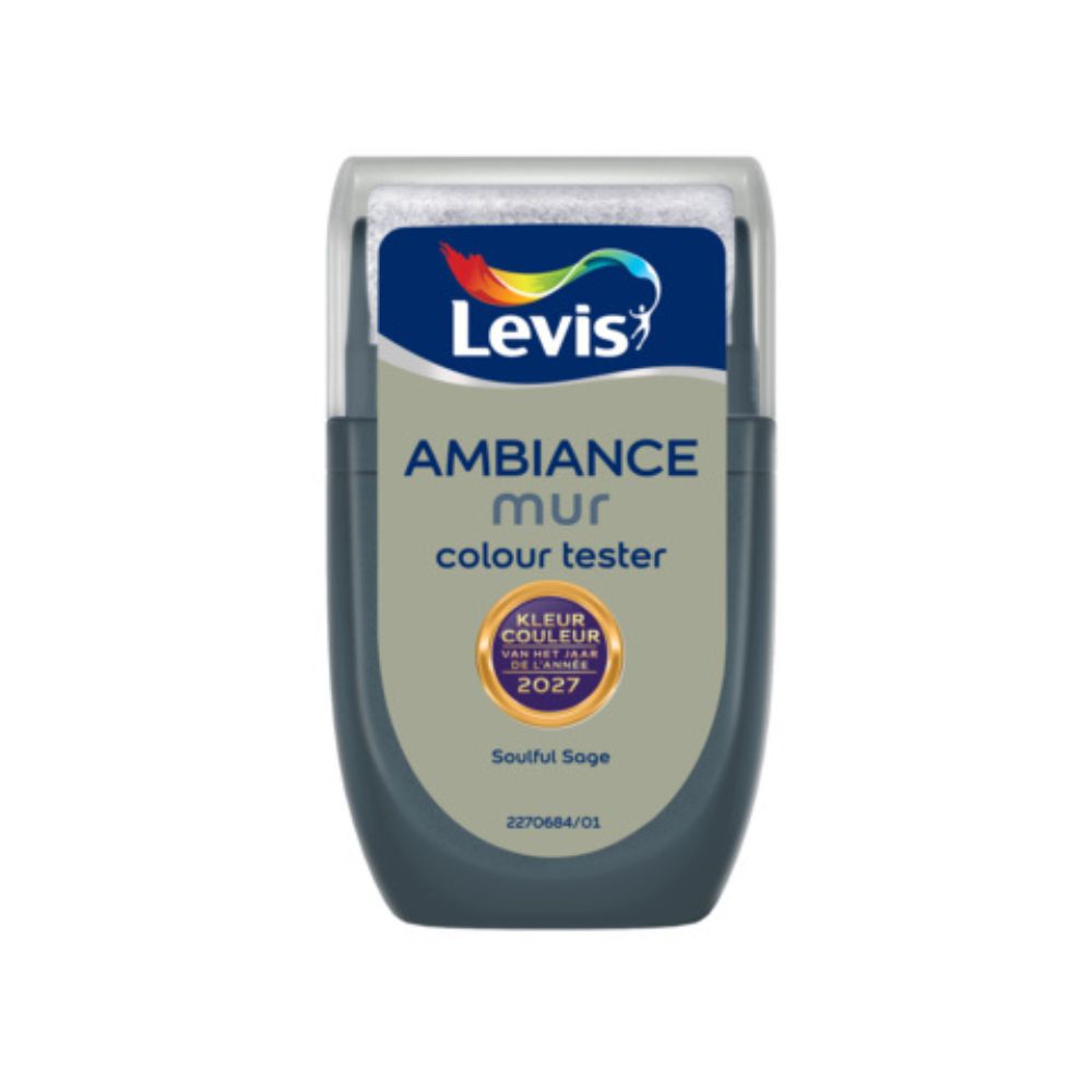 Levis Ambiance Mur Colour Tester