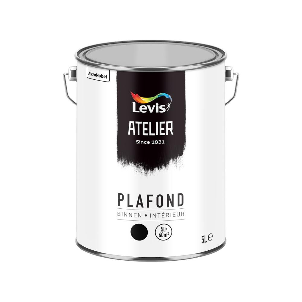 Levis Atelier Plafond