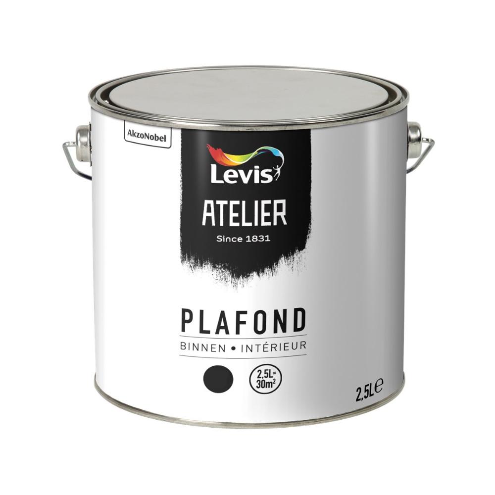 Levis Atelier Plafond