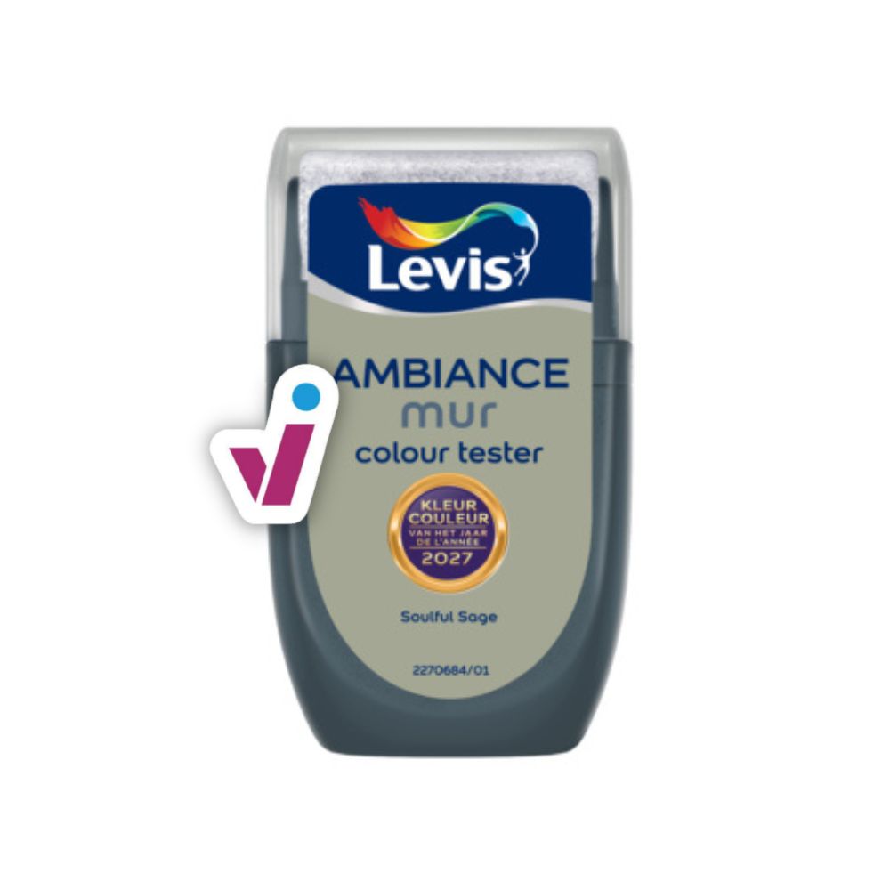 Levis Ambiance Mur Colour Tester